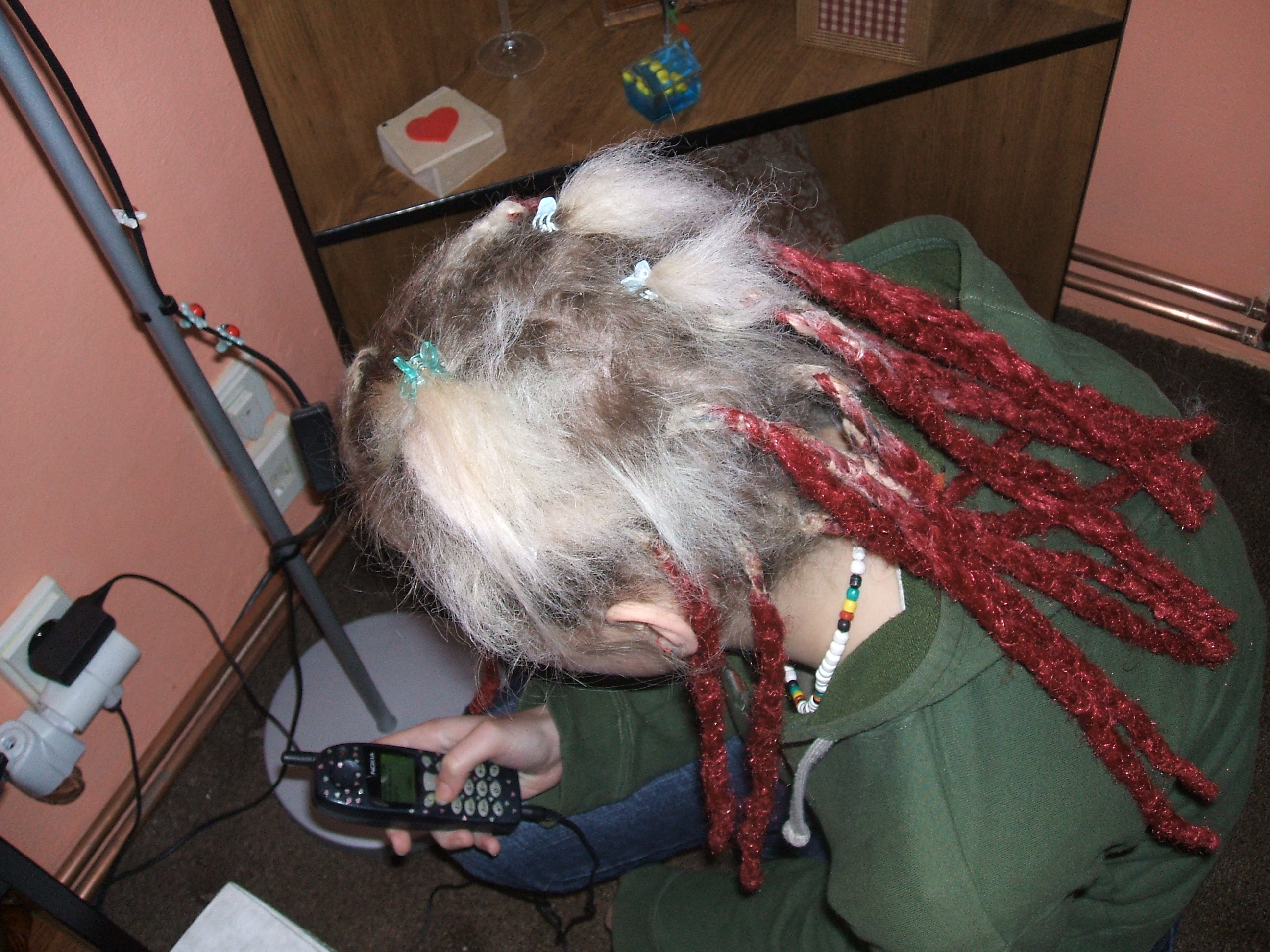 DSCF0195.JPG
